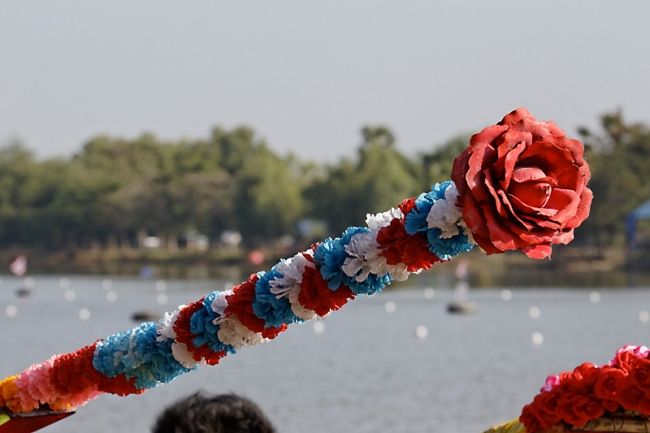 Phimai boat races-046
